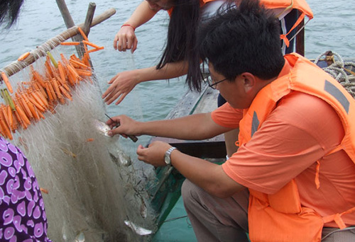 2007海上(shàng)捕魚收網.jpg