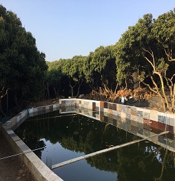 1520586203961611.jpg 1魚塘2.JPG