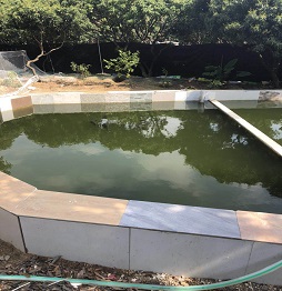 1520586214275400.jpg 1魚塘3.jpg