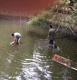 1520586221666905.jpg 2捕魚 (1).jpg
