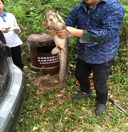 1520586234471668.jpg 2捕魚 (6).jpg