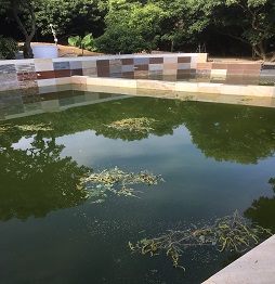 1520586276770305.jpg 3喂魚 (3).JPG