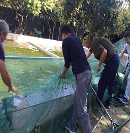 1523242075322790.jpg 捕魚 (2).jpg