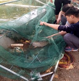 1523242083889727.jpg 捕魚 (3).jpg