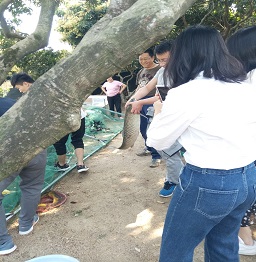 1523242088778255.jpg 捕魚 (4).jpg