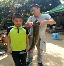 1523242095417502.jpg 捕魚 (5).jpg